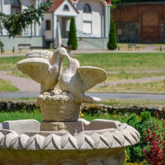 DSC9092