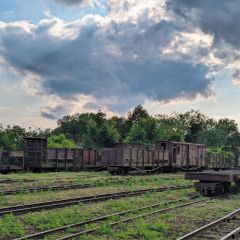 PXL_20240607_155139847