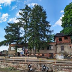 PXL_20240607_155206926