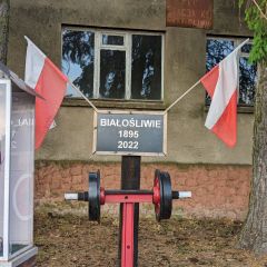 PXL_20240607_155304181