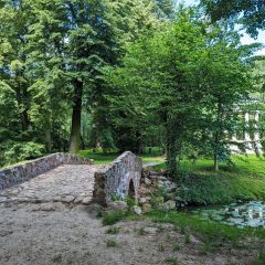 PXL_20240606_090845507