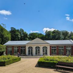 PXL_20240606_092317529