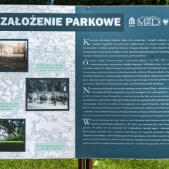 PXL_20240606_093128463