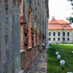 PXL_20240605_140002560