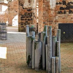 PXL_20240605_142533802