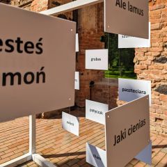 PXL_20240605_142738873