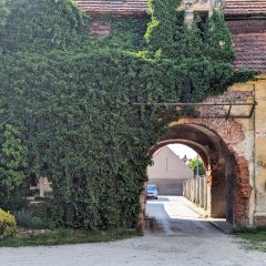 PXL_20240605_143134279