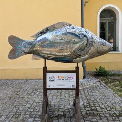 PXL_20240605_143309392