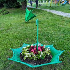 PXL_20240606_073630870