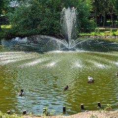 PXL_20240606_073928690