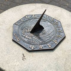 PXL_20240606_074959352