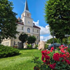 PXL_20240606_075547116