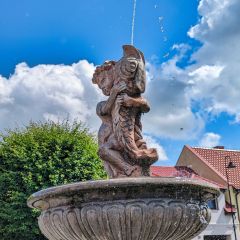 PXL_20240606_081652708