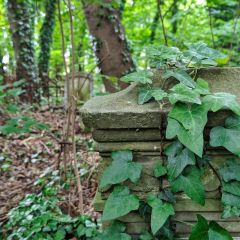 PXL_20240607_114000802