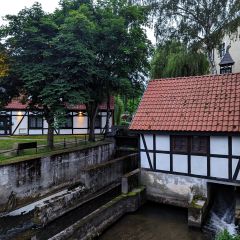 PXL_20240609_192755873