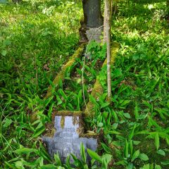 PXL_20240608_103817028