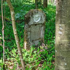 PXL_20240608_103843890