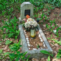 PXL_20240608_103856466