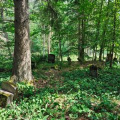 PXL_20240608_103924197