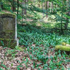 PXL_20240608_104042768