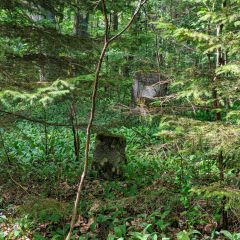 PXL_20240608_104156164