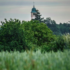 IMGP3575